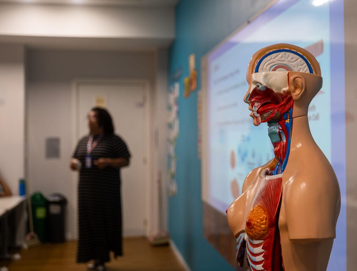 Alunos do Ensino Fundamental I estudando um modelo anatômico em aula de ciências na Escola Eleva Recife
