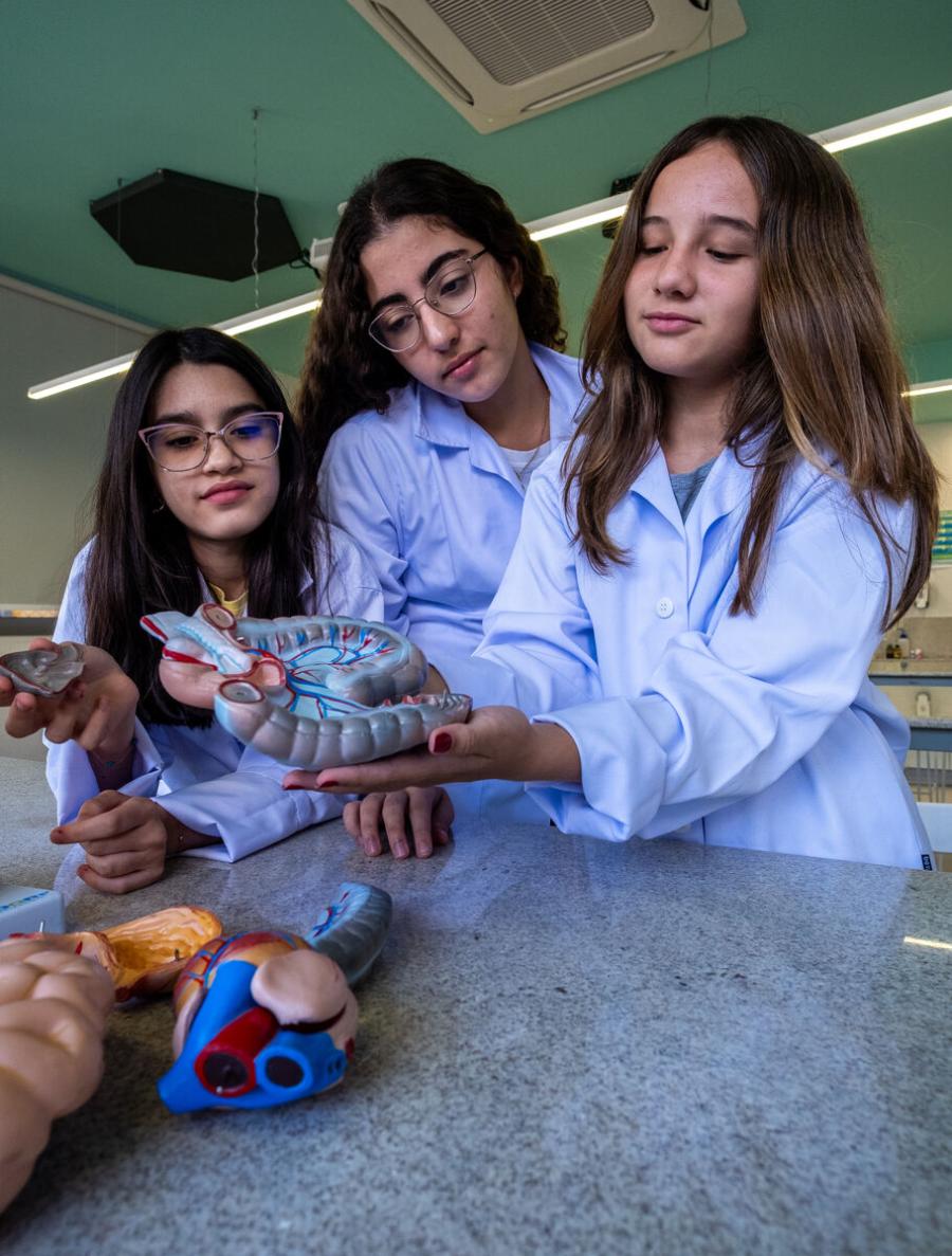 Desenvolvimento abrangente de habilidades para o futuro