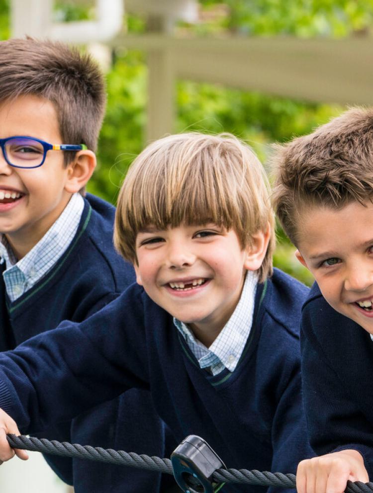 Escuelas de Primaria en Toledo