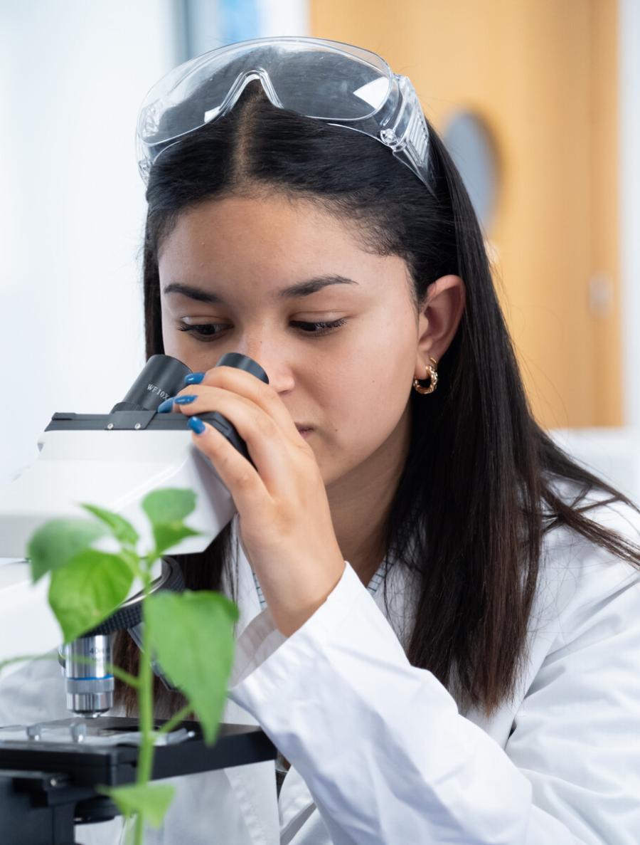 Tecnologia en los colegios internacionales de Toledo