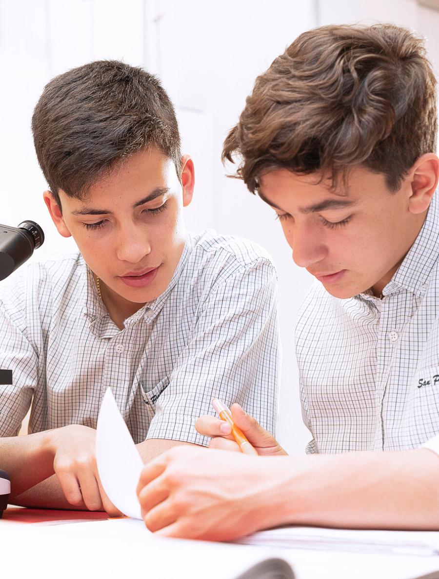 Asesoramiento  Especializado San Patricio Toledo