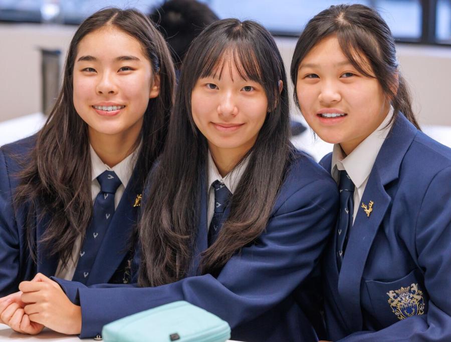 high school north sydney