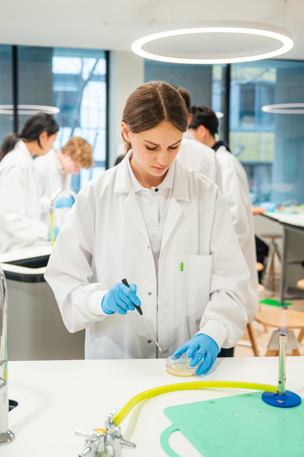 Why Choose Our High School