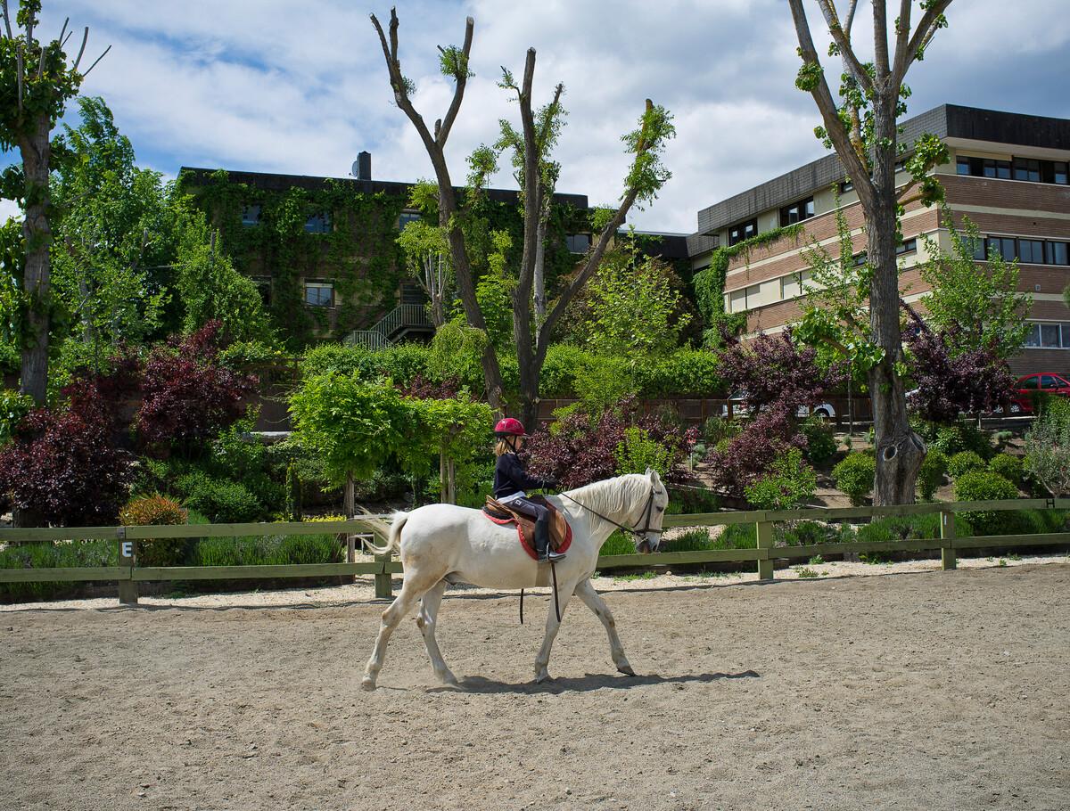 KC Soto Madrid Horse Riding