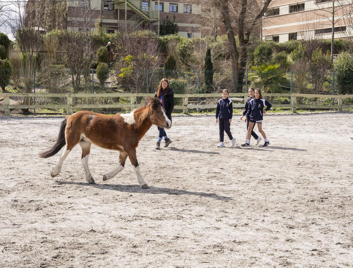 horse riding