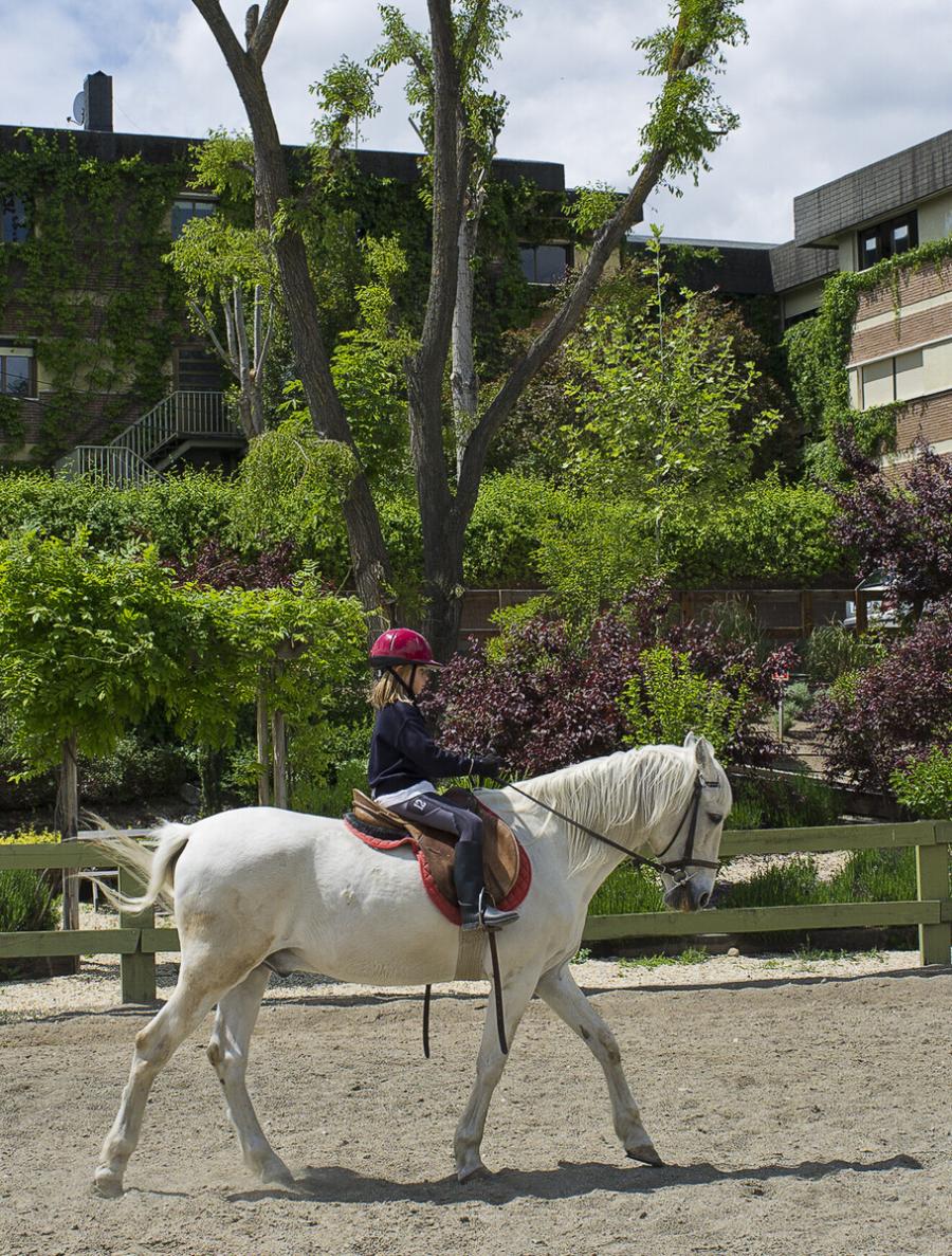 KC Soto Exchange Homestay