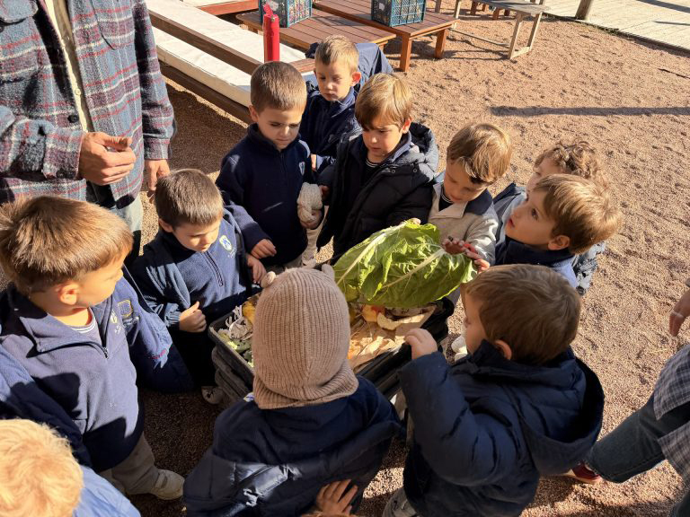 a-group-of-young-boys-in-navy-uniforms-huddles-around-a-large-harvested-cabbage.jpg