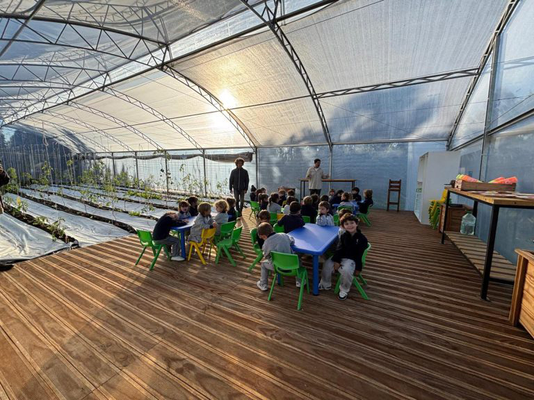 young-children-sit-at-colourful-tables-inside-a-large-greenhouse-classroom