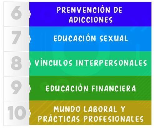ejes-tematicos-preuniversitario