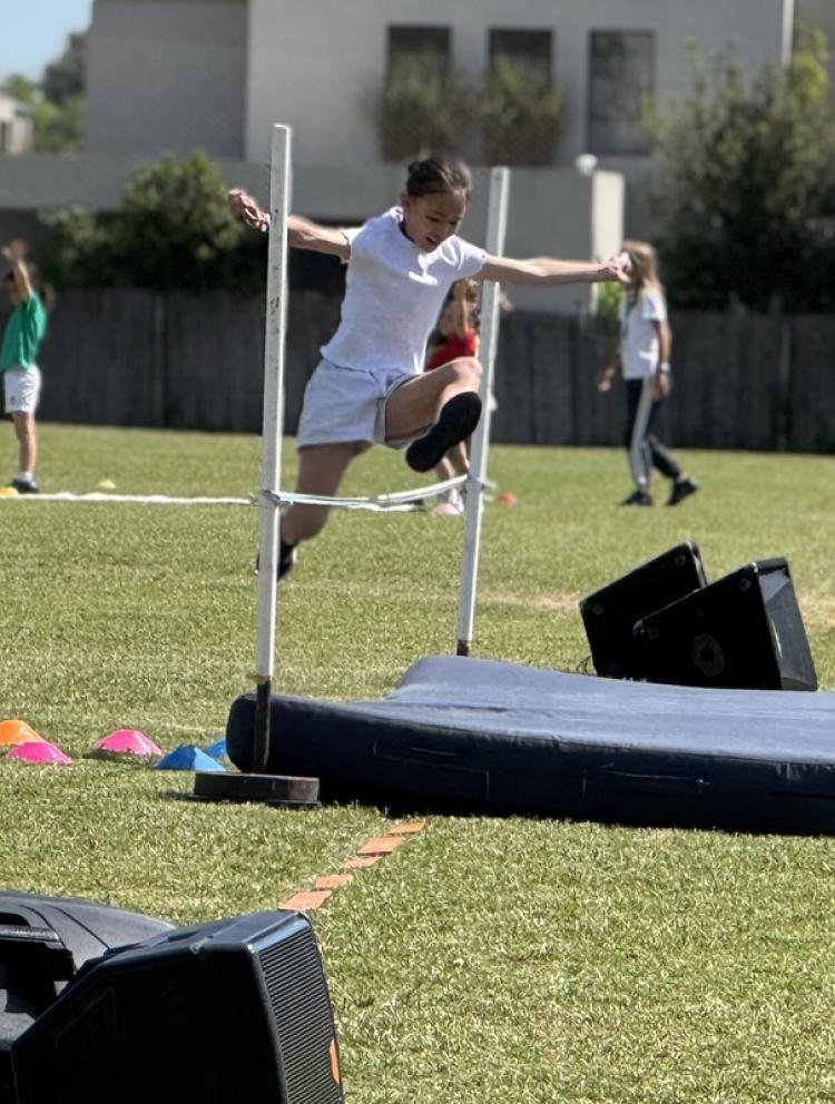 sport_field