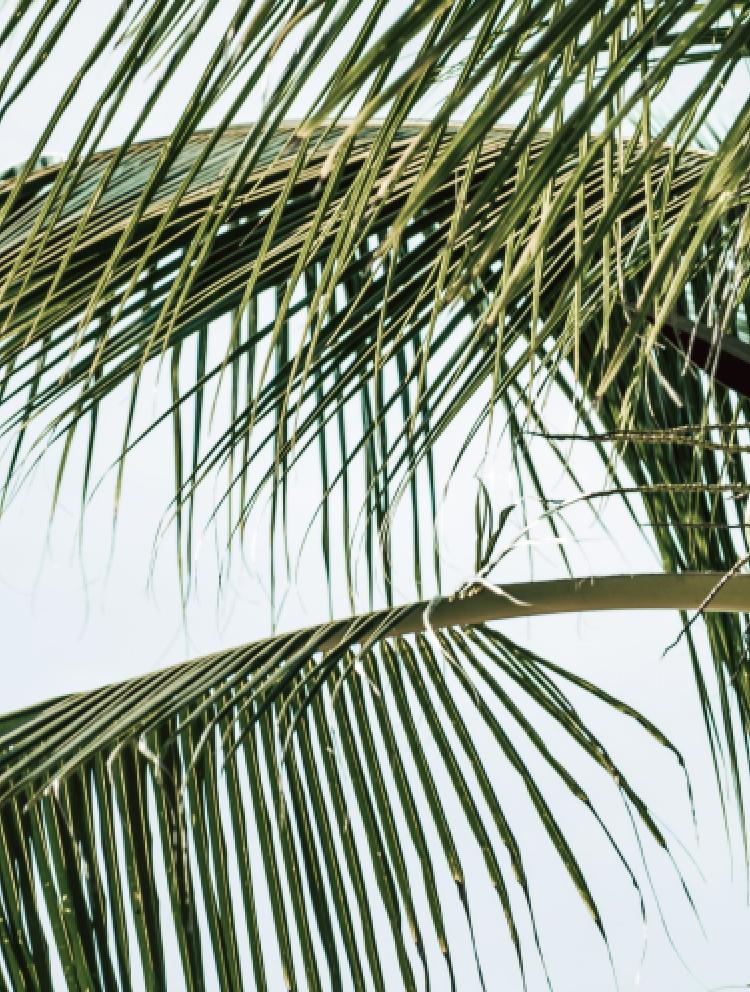 school life faqs banner