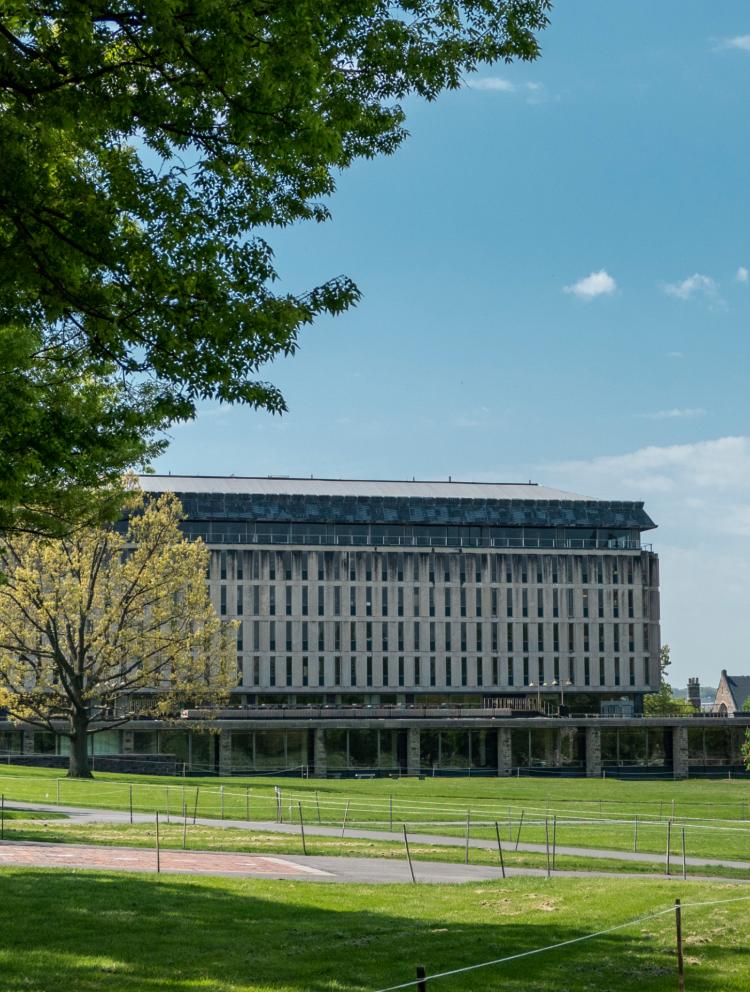 Russel Group and Ivy League universities