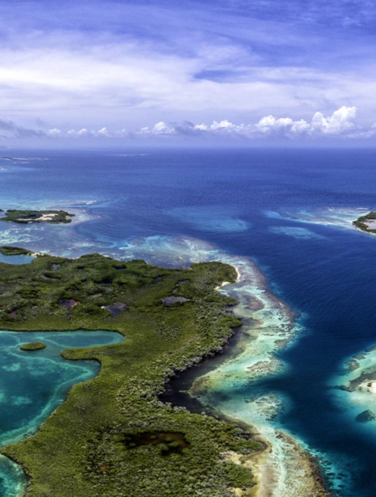 KC-Bahamas-News