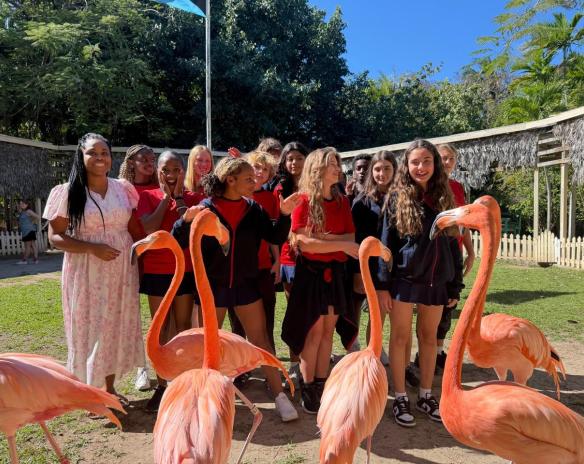 Newsletter - 1st February 2026