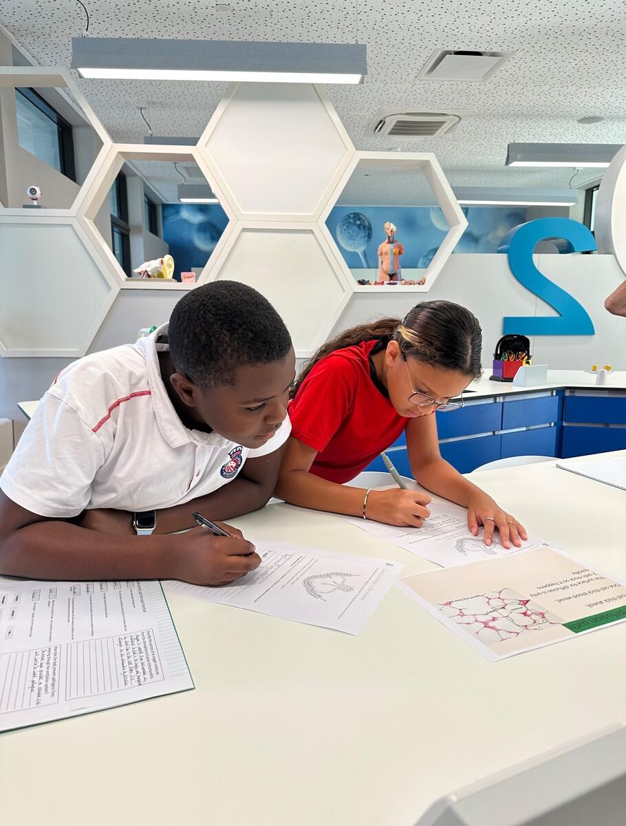 Highest Marks in Europe