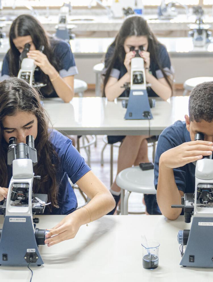 Brazilian Diploma in Salvador