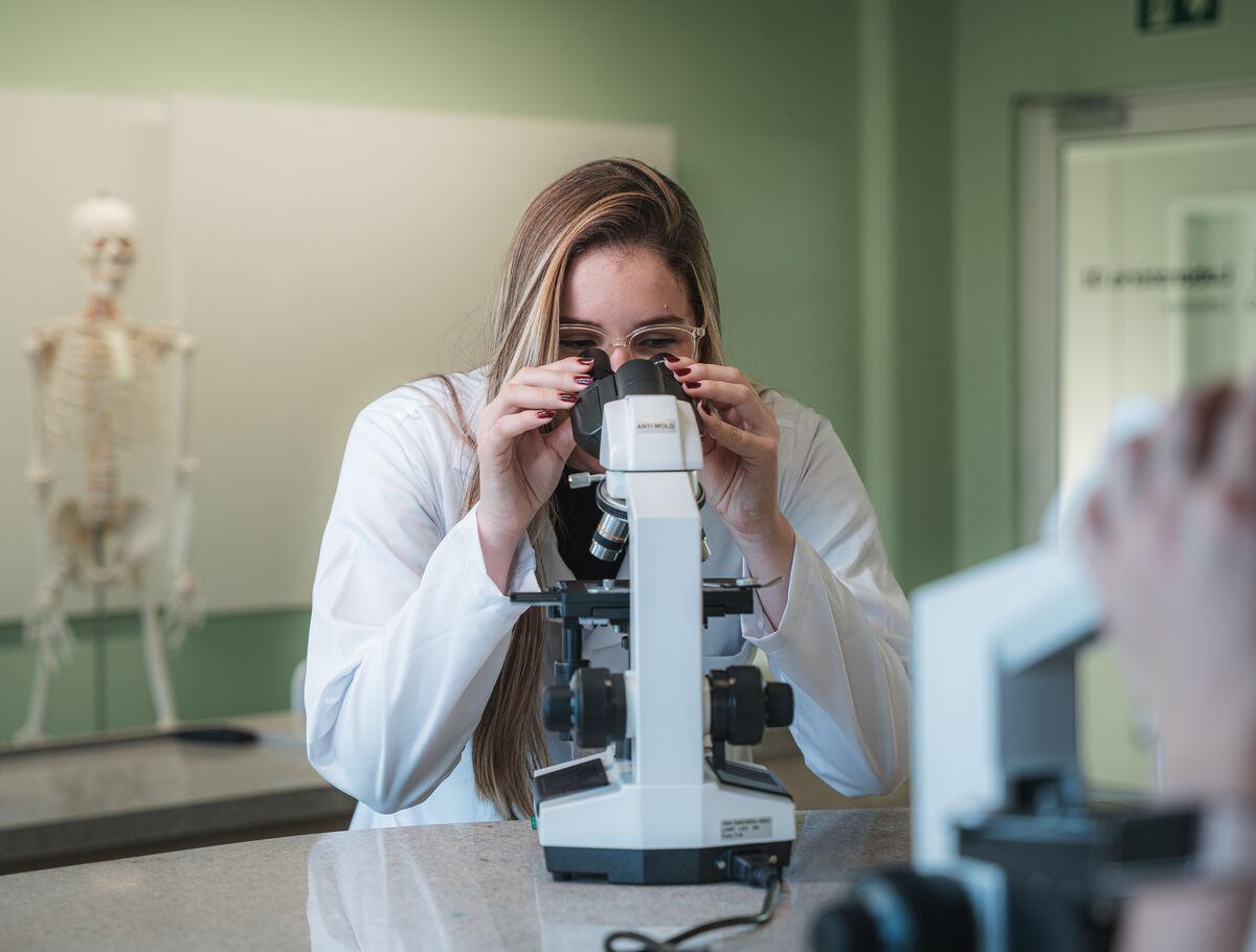 Facilities of Bilingual Schools in Pituba