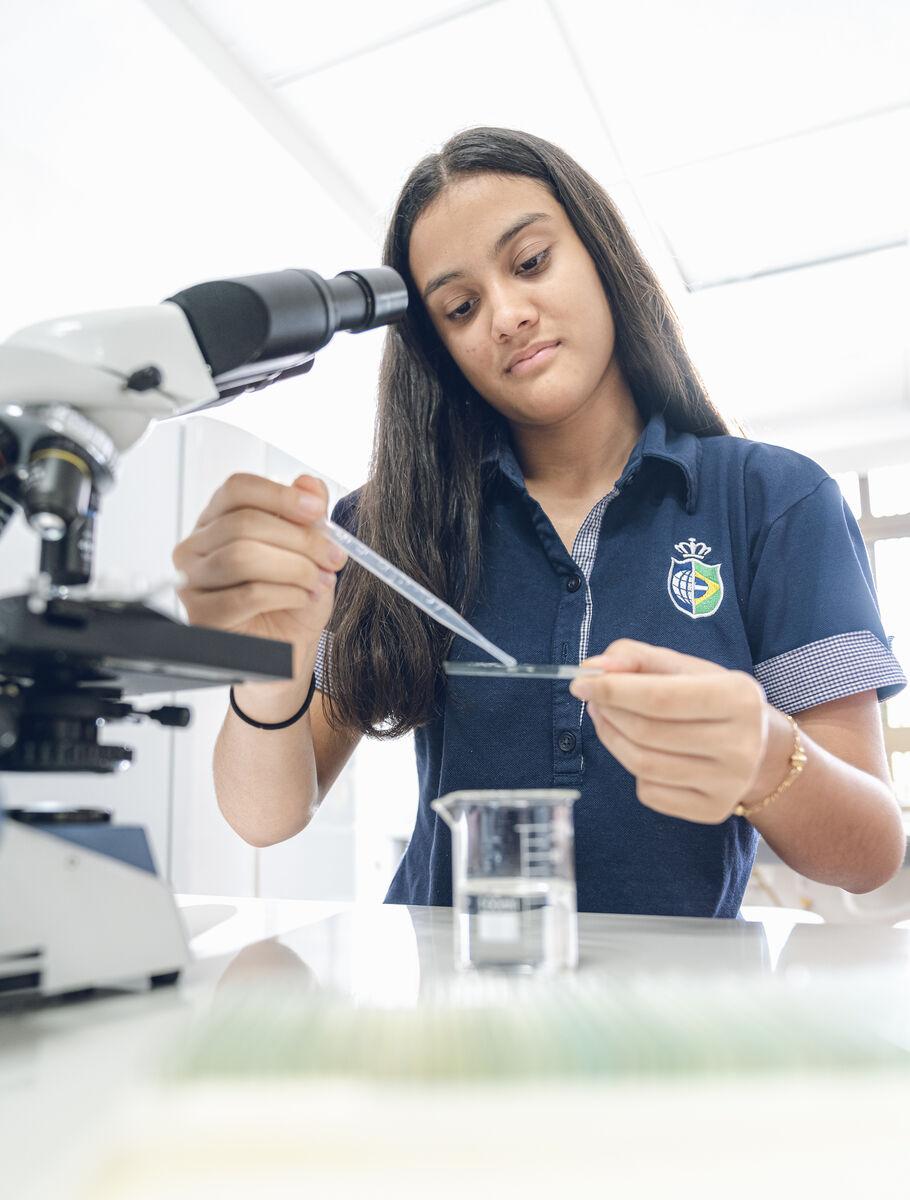 World-Class Curriculum