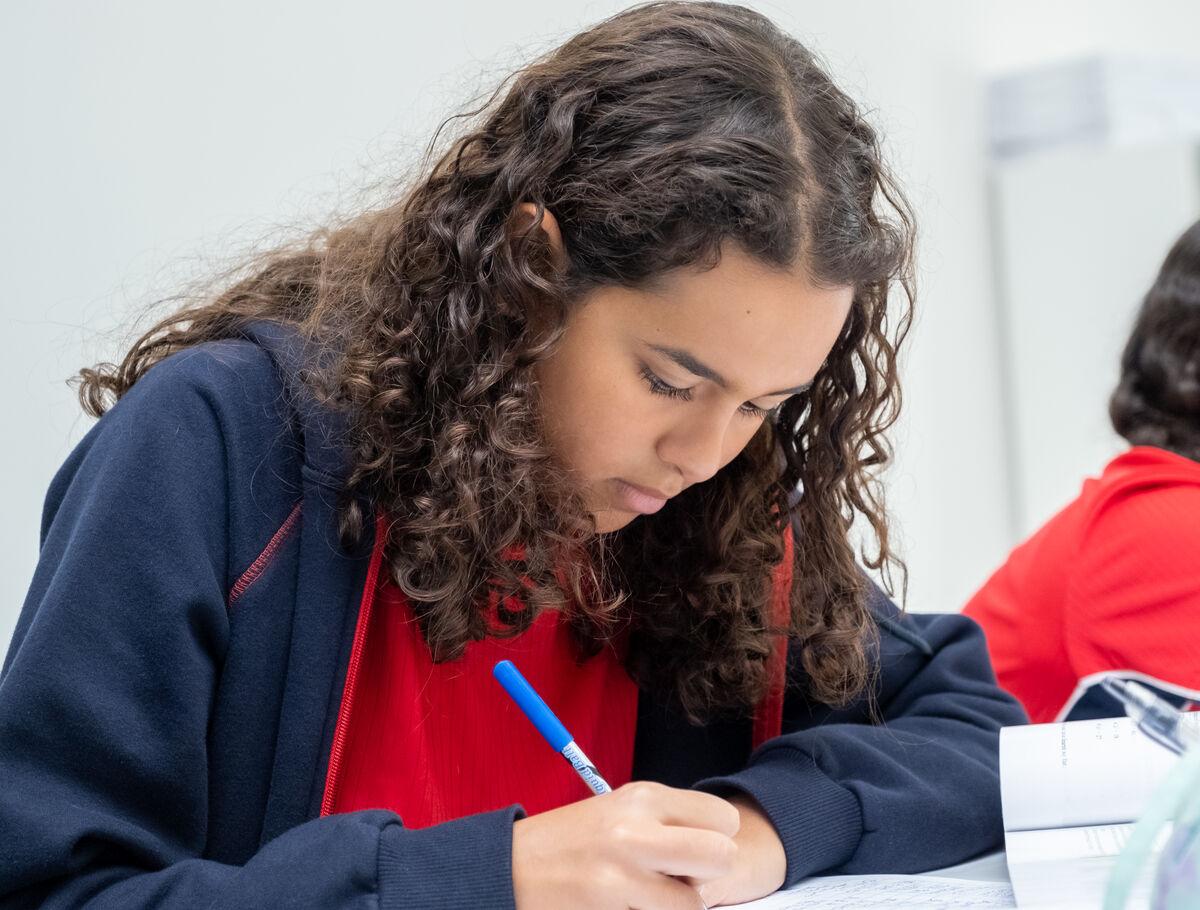 crown-egypt-education-and-learning