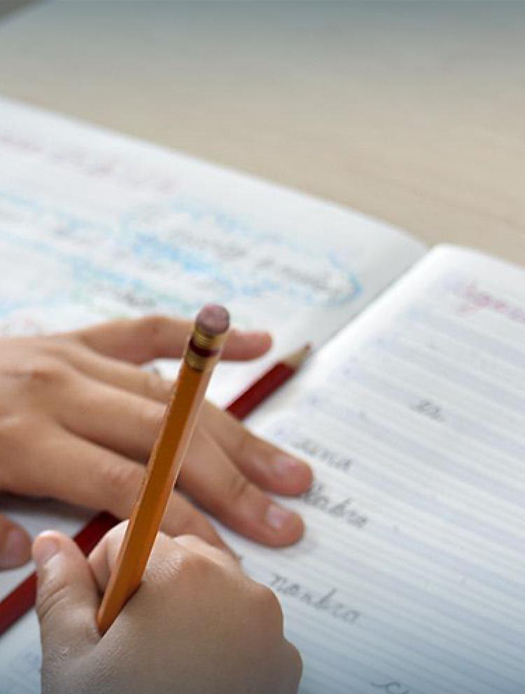 csm-educacion-modelo-educativo