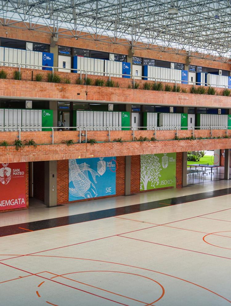 csm-educacion-primaria