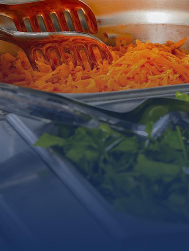 stgis-food-and-nutrition