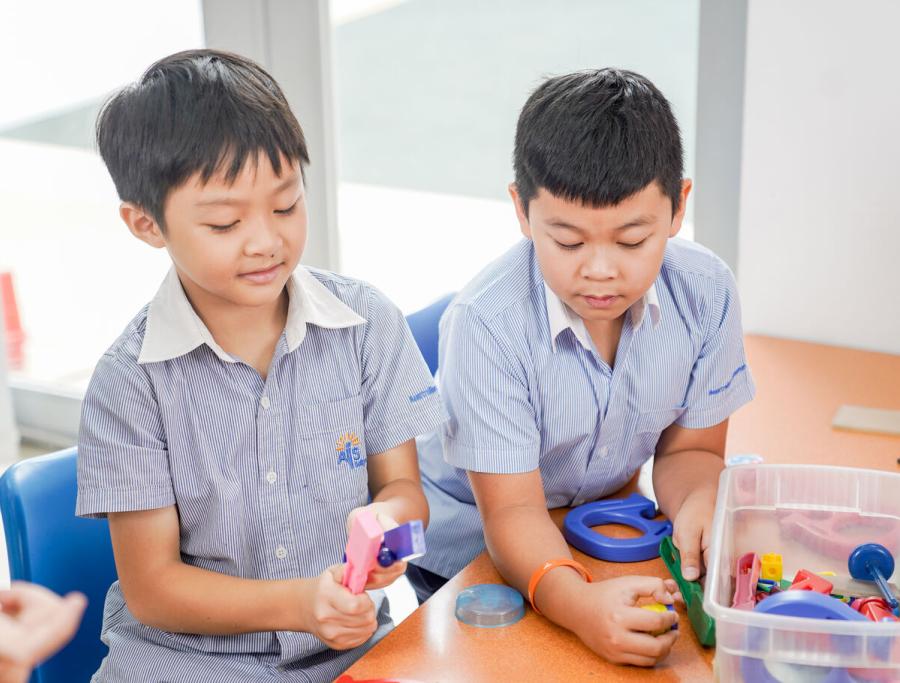 Primary Schools in Thao Dien