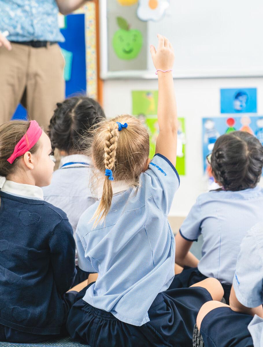 Curriculum of Thao Dien International Schools