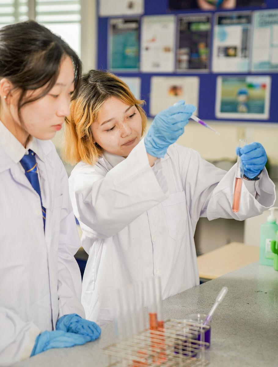 Best IB Education in HCMC