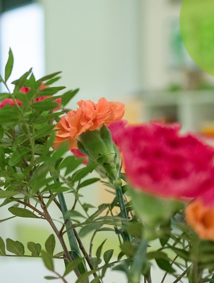 IS-Kiddy-kindergarten-home-girl-flowers-banner