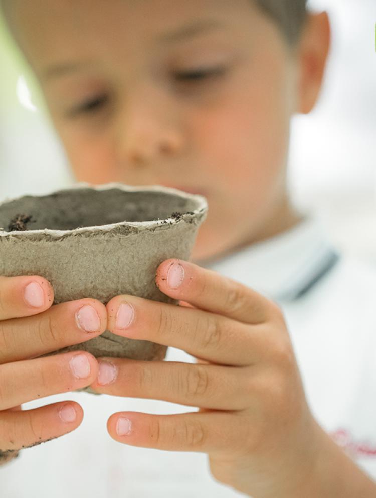Kiddy-Calendar-boy-plant-banner