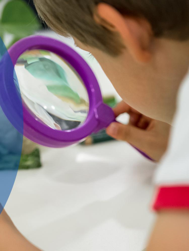Kiddy-facilities-magnifying-glass-banner