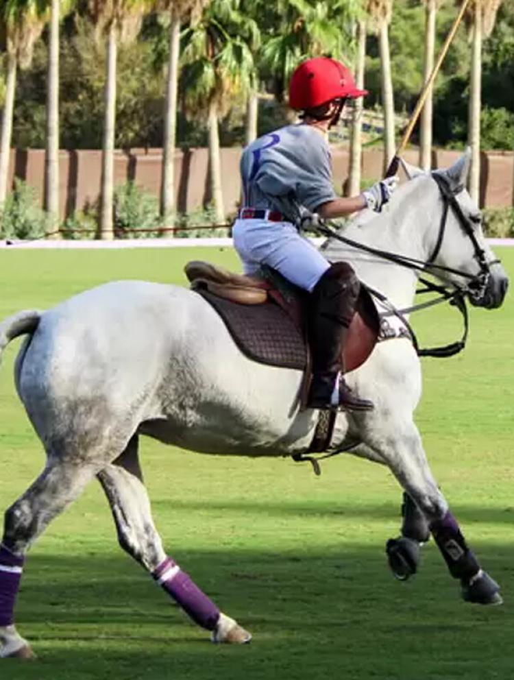 Polo Camp