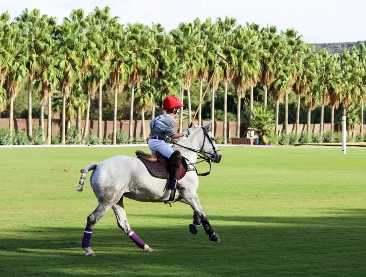 Polo student at our school