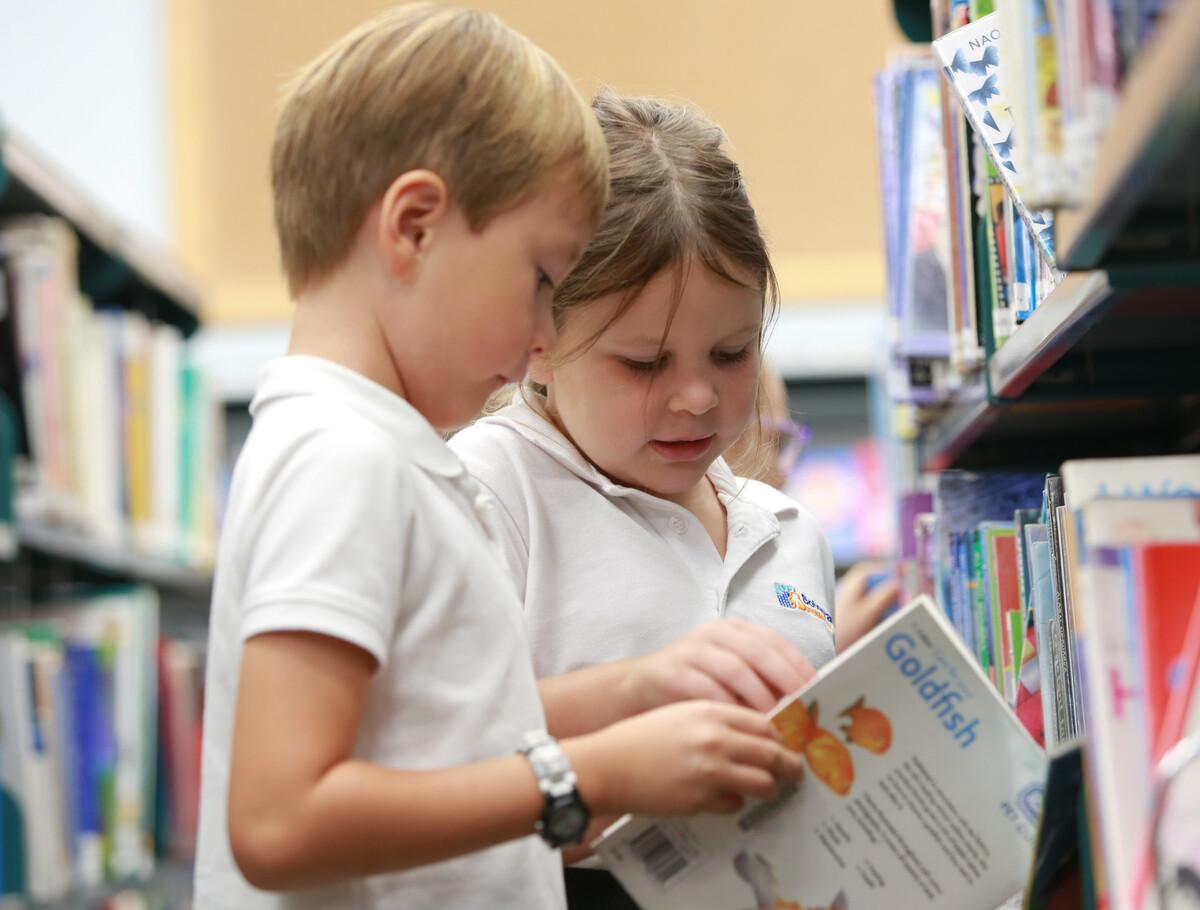 Students of International School