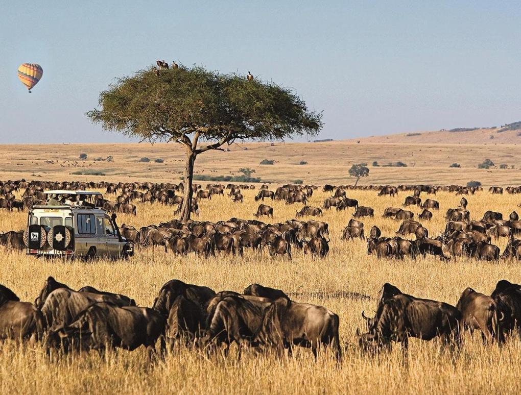 Una Experiencia Global