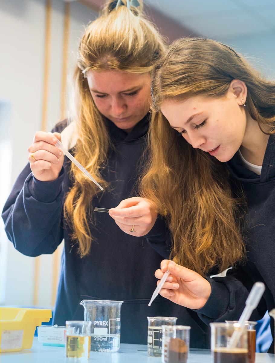 Programa de Becas Nsouli