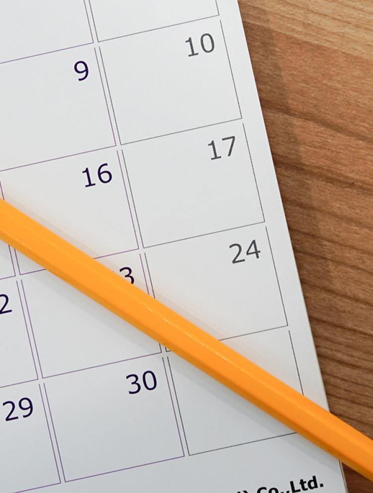 term dates