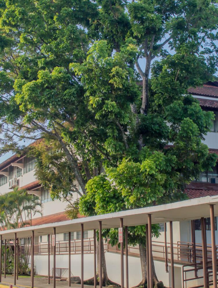 Colegios Privados en Panama