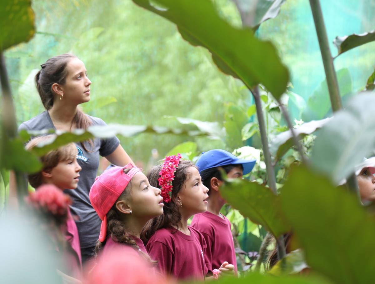 Excursiones Escolares de Primaria por Clayton