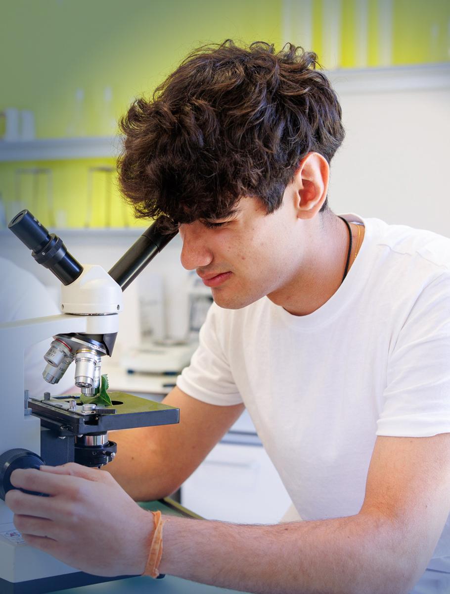 high school programme