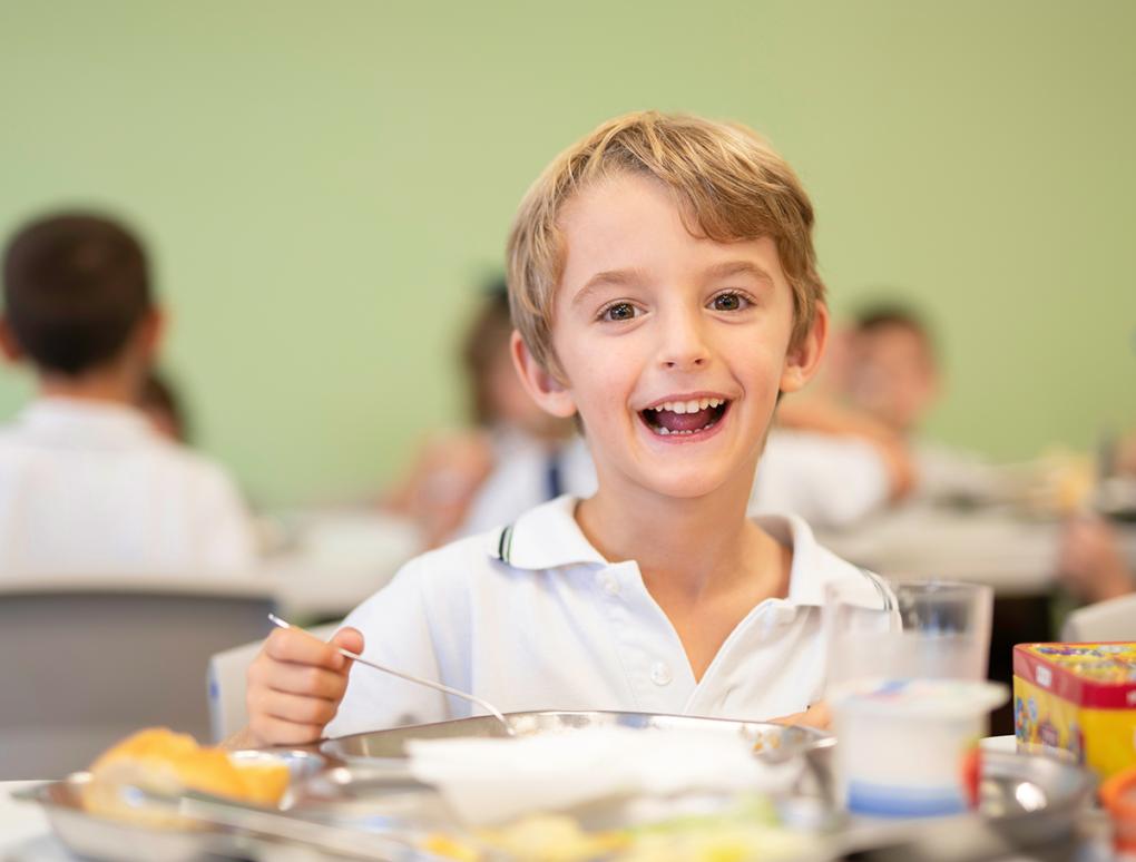 Healthy, balanced meals