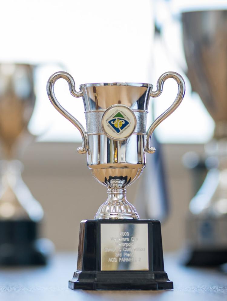 Parnell-Academic-Results-and-Awards-Banner