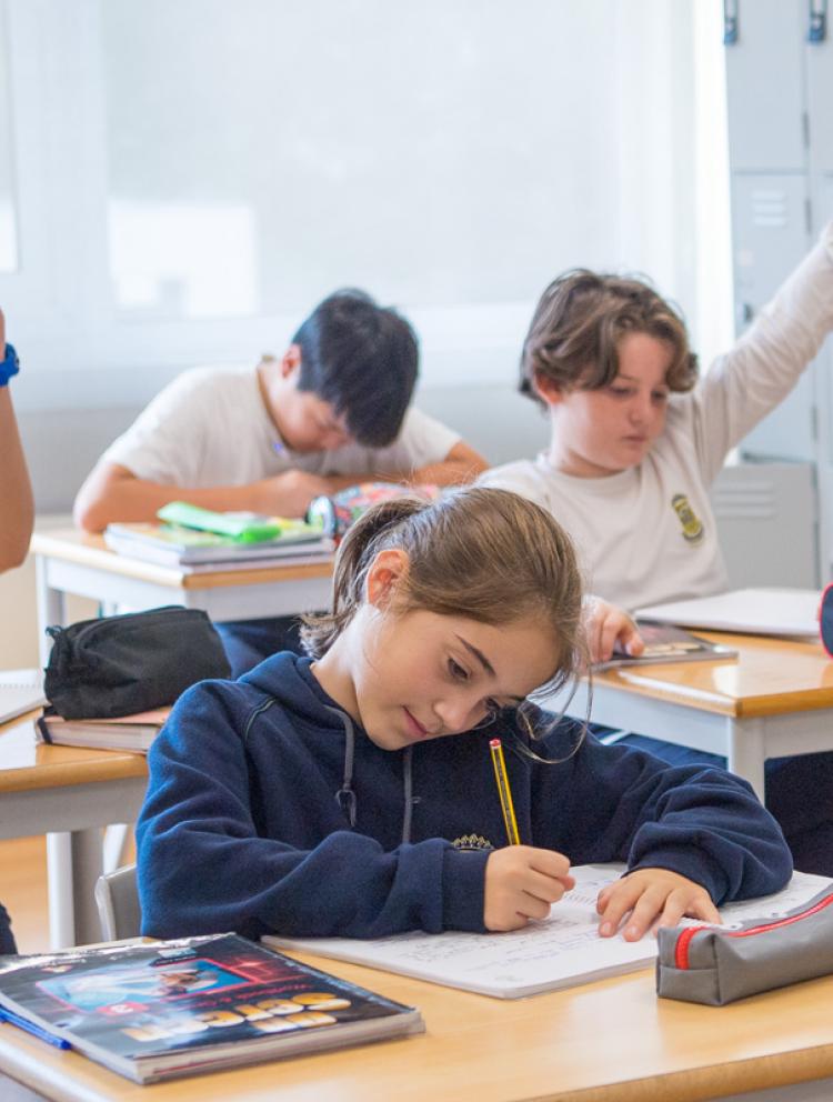 middle schools in Palmela