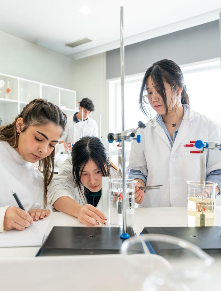 Como funciona o sistema educativo português