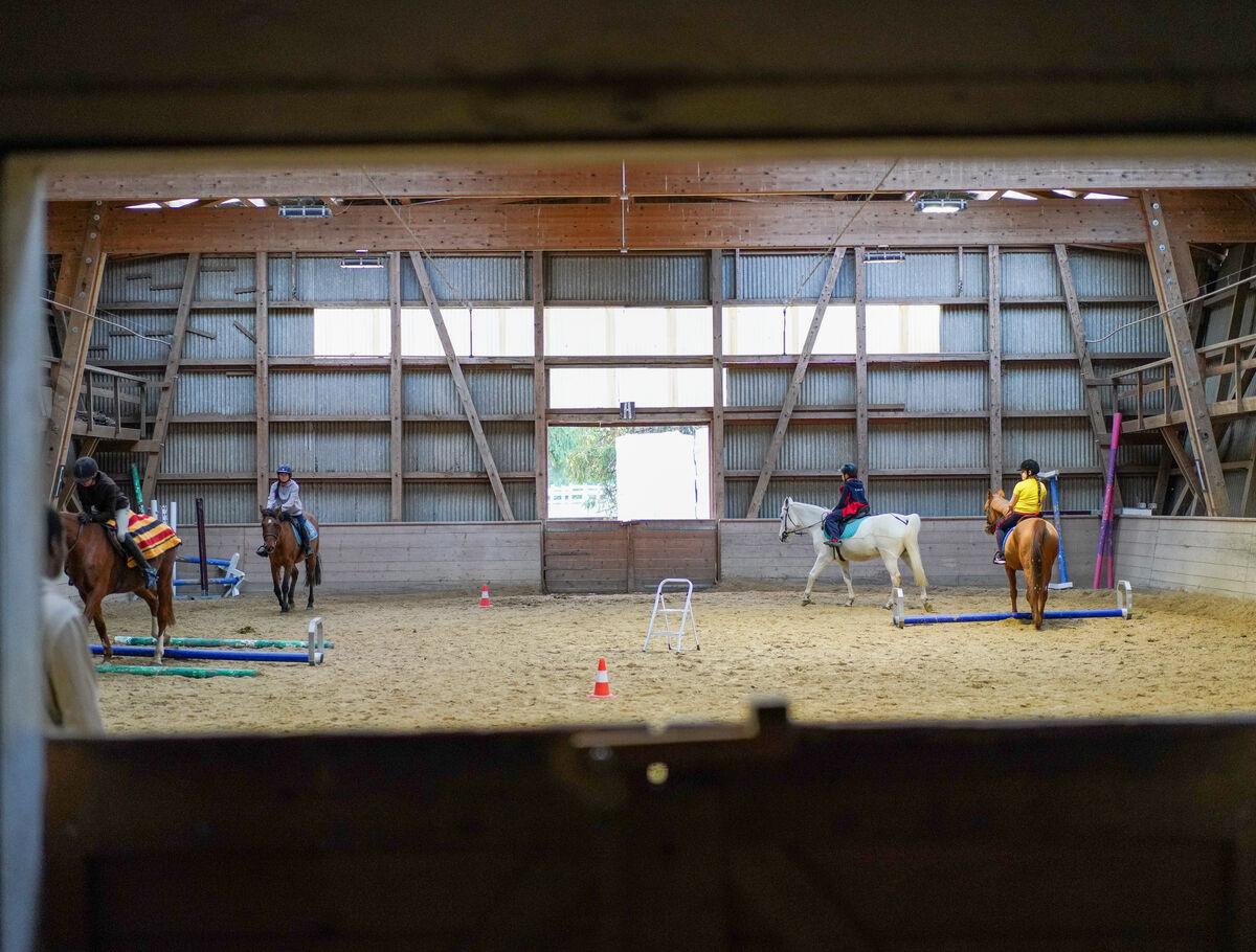 horse stable facilities