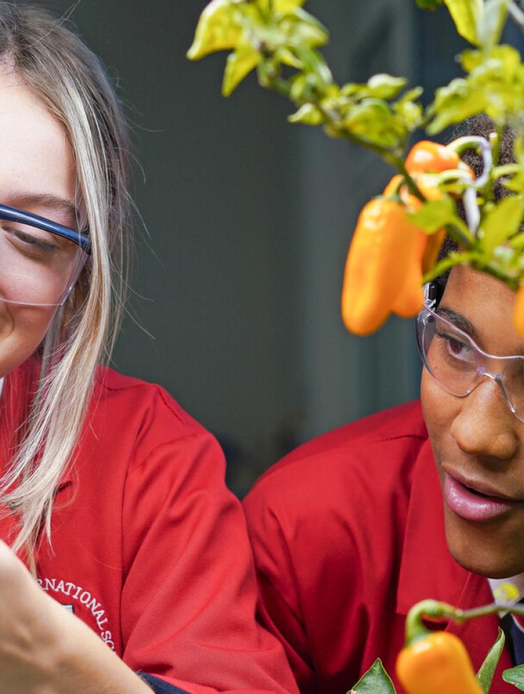 high school students working on group project