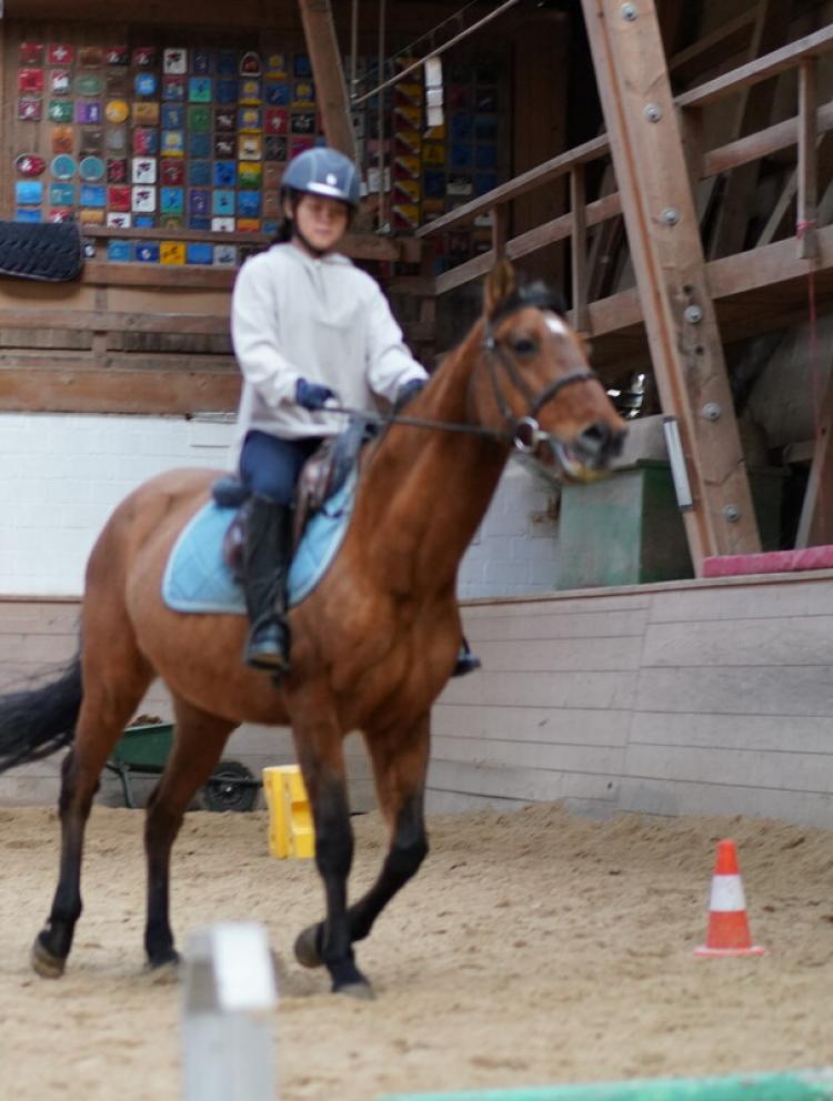 horse riding extracurricular activity  