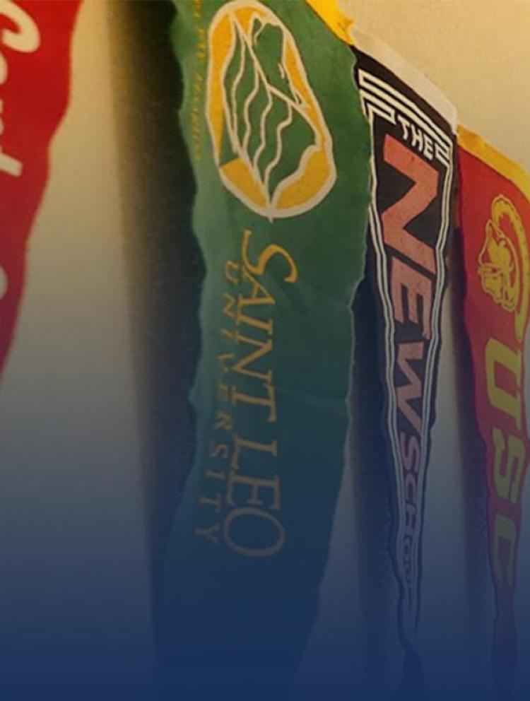 stgis-university-admissions-flags