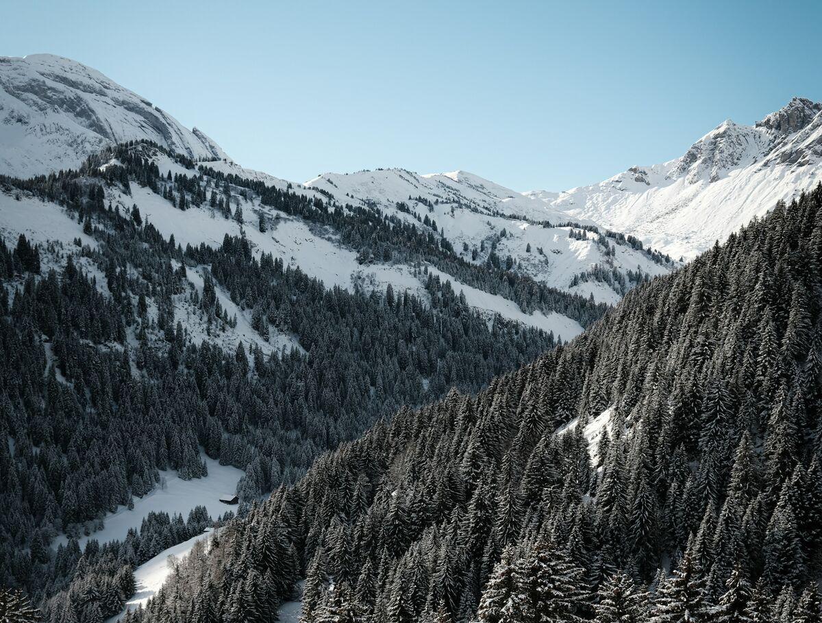 St. George's International School champery